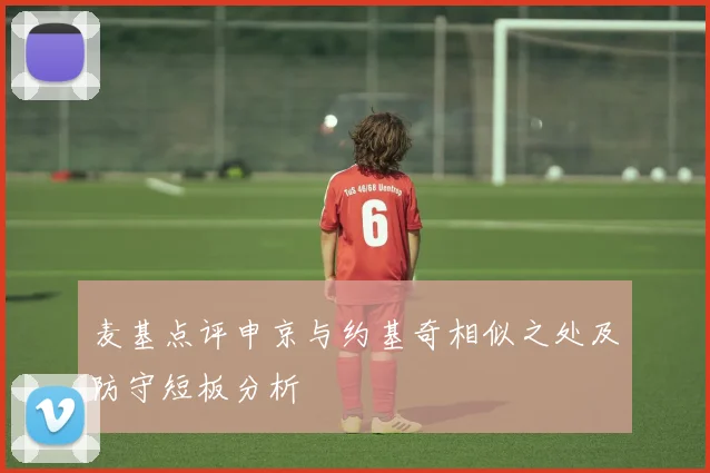 麦基点评申京与约基奇相似之处及防守短板分析